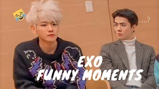 EXO 엑소 Funny Moments 2019