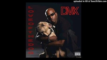 DMX - Rollin