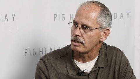 Batch farrowing offers smaller sow farms improved disease control