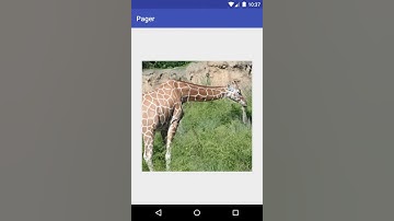 Android Activity Scene Transition