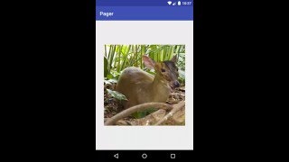 Android Activity Scene Transition