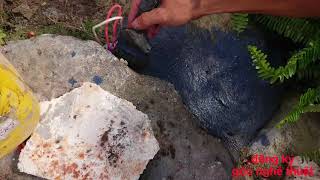 Garden Koi Pond Renovation Timelapse   Hồ cá koi giả đá full