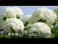 黄昏 山川 豊(るみ子)カバー