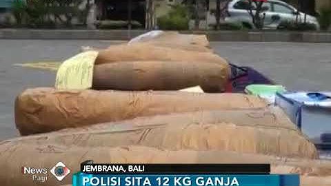 2 Kurir NarkØba Lintas Pulau Berhasil Dibekuk, Polisi Temukan 12 Kg G4nja Kering - iNews Pagi 07/03