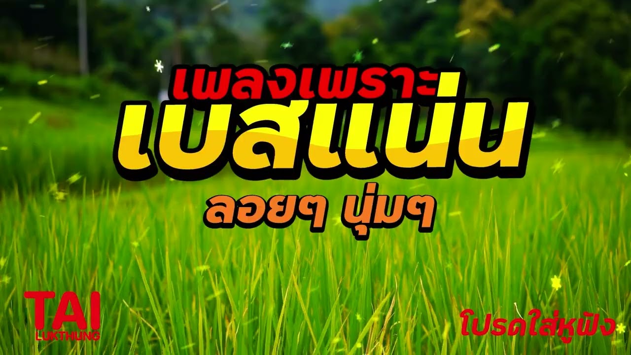 ลูกทุ่ง เพลงเพราะ เบสแน่นๆ (เบสหนัก นุ่ม เบสแน่น ฟังสบาย)#เบสแน่น#เบสหนัก#เบสนุ่ม#ลูกทุ่ง