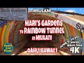 Mari's Gardens to Rainbow Tunnel in Mililani June 9, 2020 Fun Things to do on Oahu Hawaii