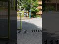 公園で通ります踊ってたらスゴイ映像撮れた