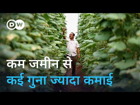 From IT Job to Polyhouse Farming