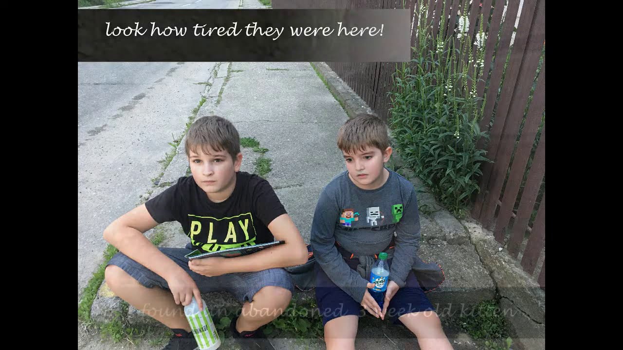 Summer of 2020, Curtea de Arges