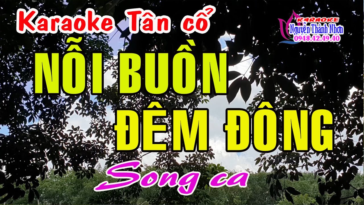 Karaoke tân cổ NỖI BUỒN ĐÊM ĐÔNG - SONG CA [ Minh Cảnh - Phượng Liên ]