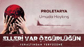 Umuda Haykırış - Proletarya Resimi