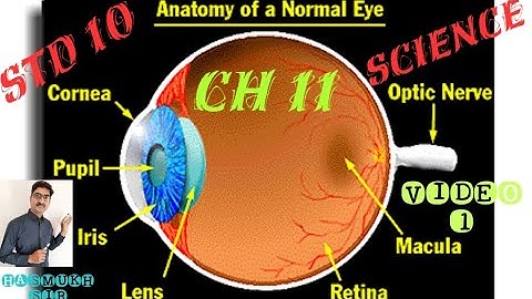 VIDEO:1 STD:10 SCIENCE CH:11  માનવ આંખ અને રંગબેરંગી દુનિયા with Hasmukh Sir