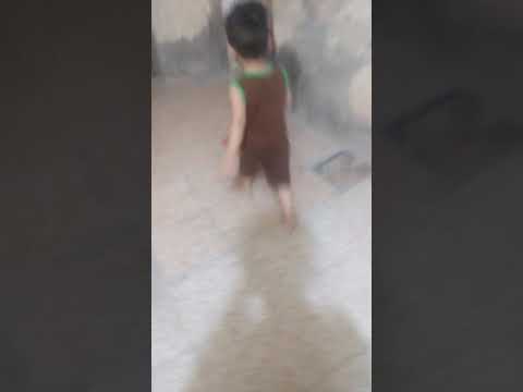 حيدر الحلو زكيح