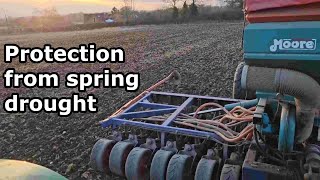 Mitigate against spring wheat drought 276