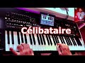 Célibataire ihab amir موسيقى صامتة