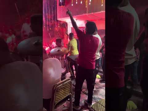 اسود وماشيه في الغابه  3 من فرحة التؤام