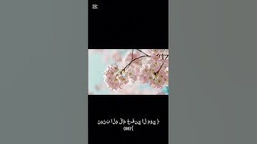 ماتيسر من سورة الشعراء ❤️❤️❤️‍🩹  #صلوا_على_النبي #المصحف #اكسبلور #الرحمن #voiceeffects