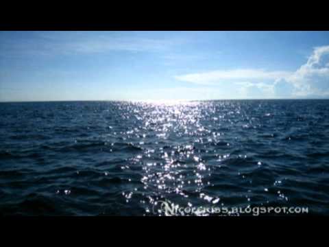 00 اغنية نخبي ليه بصوتي