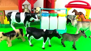 Farm Animals/Milkman delivery/Getting milk from Cows/Learn ZOO Animals/Children fun Learn Farm Animals/Milkman delivery/Getting milk from Cows/Learn ZOO Animals/Children fun Learn
