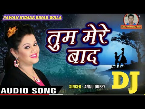 tum-mere-baad-mohabbat-_-dj-song_anu-dube_pawan_ritesh-pandey,-gunjan-singh,-sad-song,-gam-song-2019