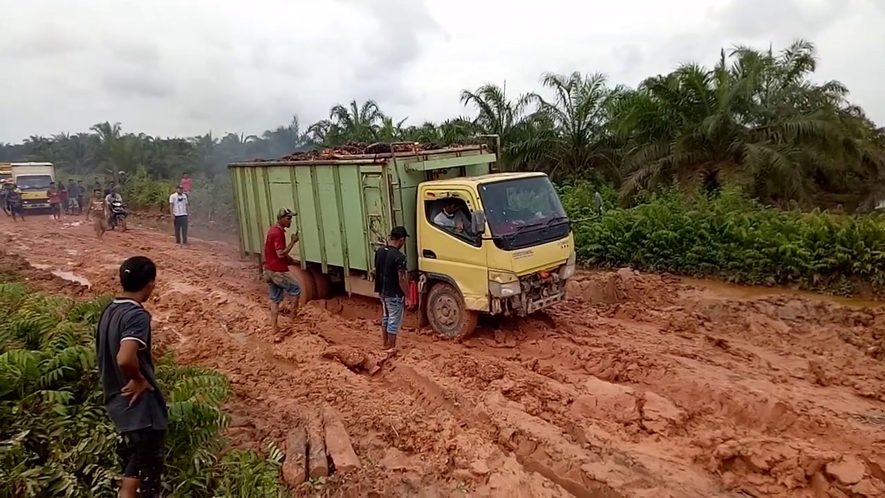  TRUK  MUATAN SAWIT GAS POLL LEWATI JALAN LUMPUR TUNGKAL 