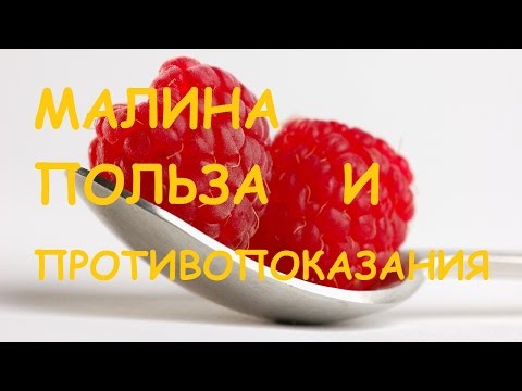 Малина. Полезные свойства и противопоказания.