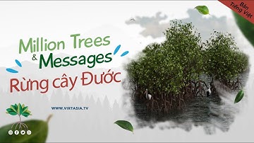 Rừng ngập Mặn – Chiến Binh Sinh Thái Million Trees & Messages video hoat hình 3D nạn phá rừng