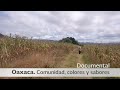 Oaxaca. Comunidad, colores y sabores (completo)