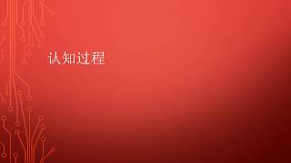 认知过程
