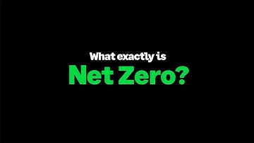Understanding Net Zero and Carbon Accounting