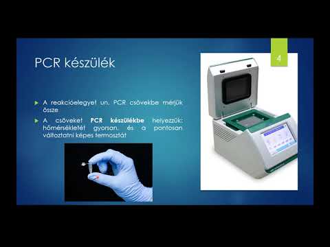 Videó: Miért szükséges a PCR-termékek tisztítása a szekvenálás előtt?