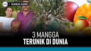 Ini Orang-Orang yang Harus Pantang Makan Mangga | Hidup Sehat tvOne