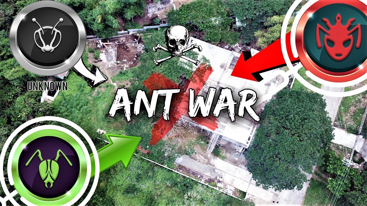 ⁣There's a Massive ANT WAR Happening in My Backyard | 'The Battle for Antopia'