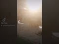 فلوج رقم ١ من كافيه Joy أسعاره تحفه 