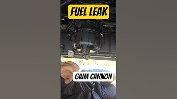 GWM Cannon - Fuel Filters are STILL LEAKING......#gwm #mechanic