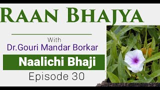 Naalichi Bhaji Raan Bhajya Episode 30 Dr.gouri Mandar Borkar