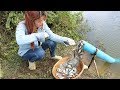 Believe This Fishing? Unique Fish Trapping System | New Technique Of Catching Village Fish