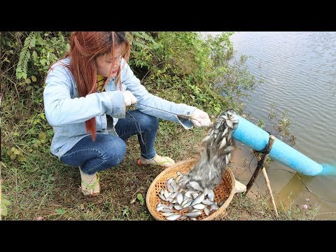 वीडियो: मछली पकड़ने का साथी