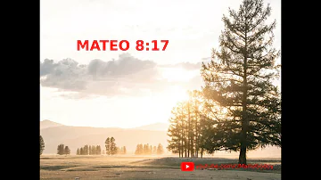 ¿Qué dice Mateo 8 17?