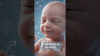 गर्भ में बच्चा 9 महीनों में कैसे विकसित होता है? | Month by Month Pregnancy Development in Hindi.