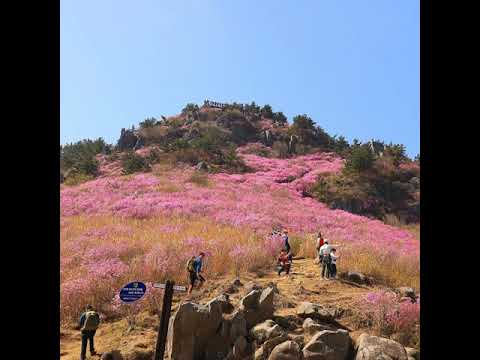 [TJ노래방라운지] 사랑은주는것 - 나훈아