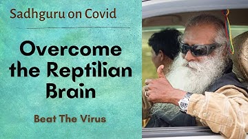 Sadhguru - Reptilian Brain - OVERCOME THIS BOUNDARY