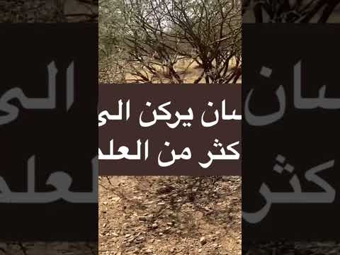 رحلتي من بلاد شنقيط موريتاني تحيا موريتاني بلادي