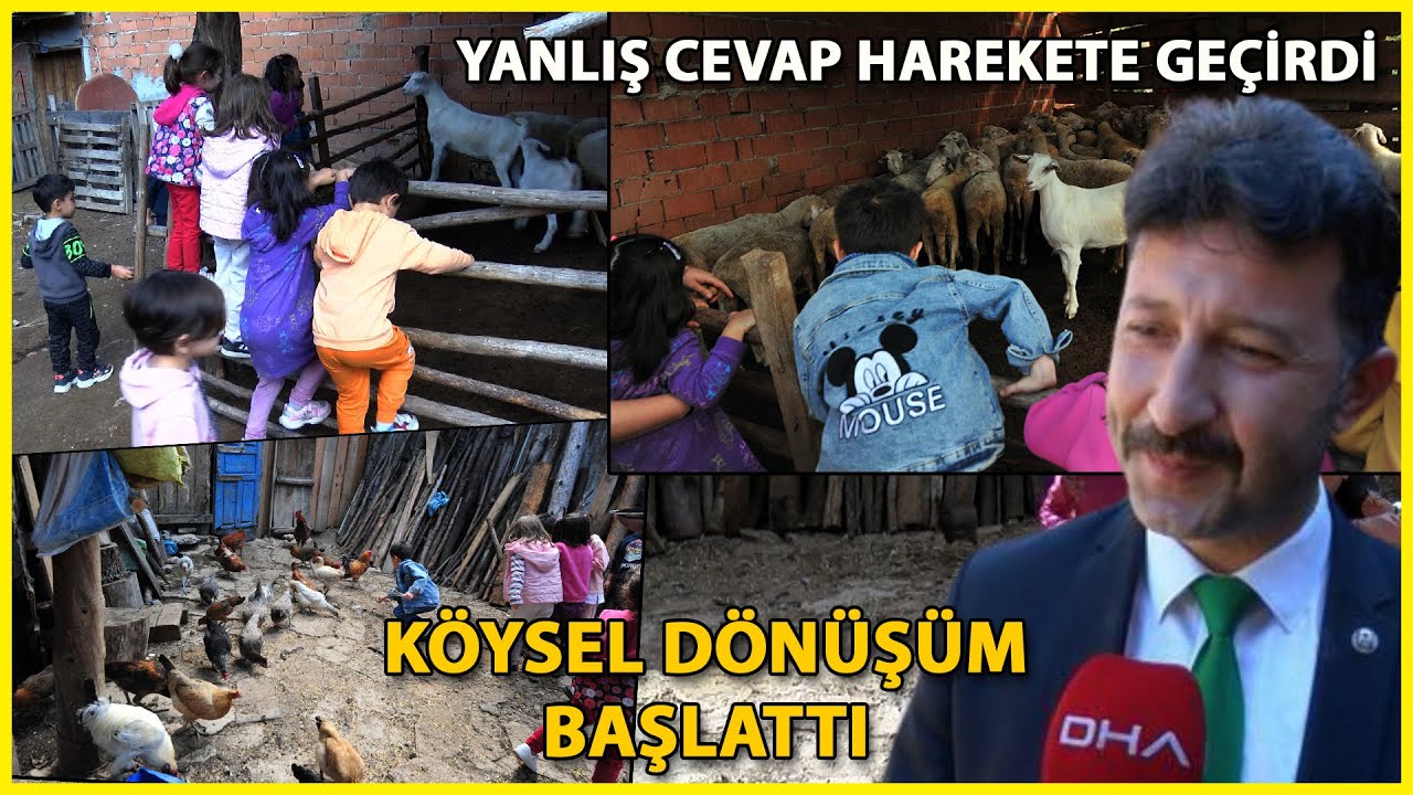 ‘İnek Yavrusu’ Sorusuna Yanlış Cevap Verilince, Çocuklar için Köy Yaşamı Projesi Başlattı