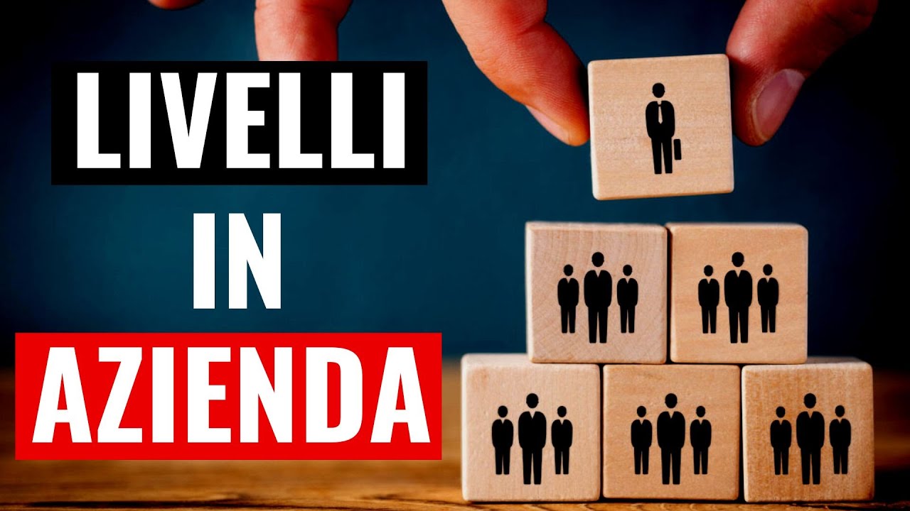 COME FUNZIONANO I LIVELLI IN AZIENDA