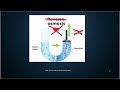 Generate Electricity with Osmotic Energy