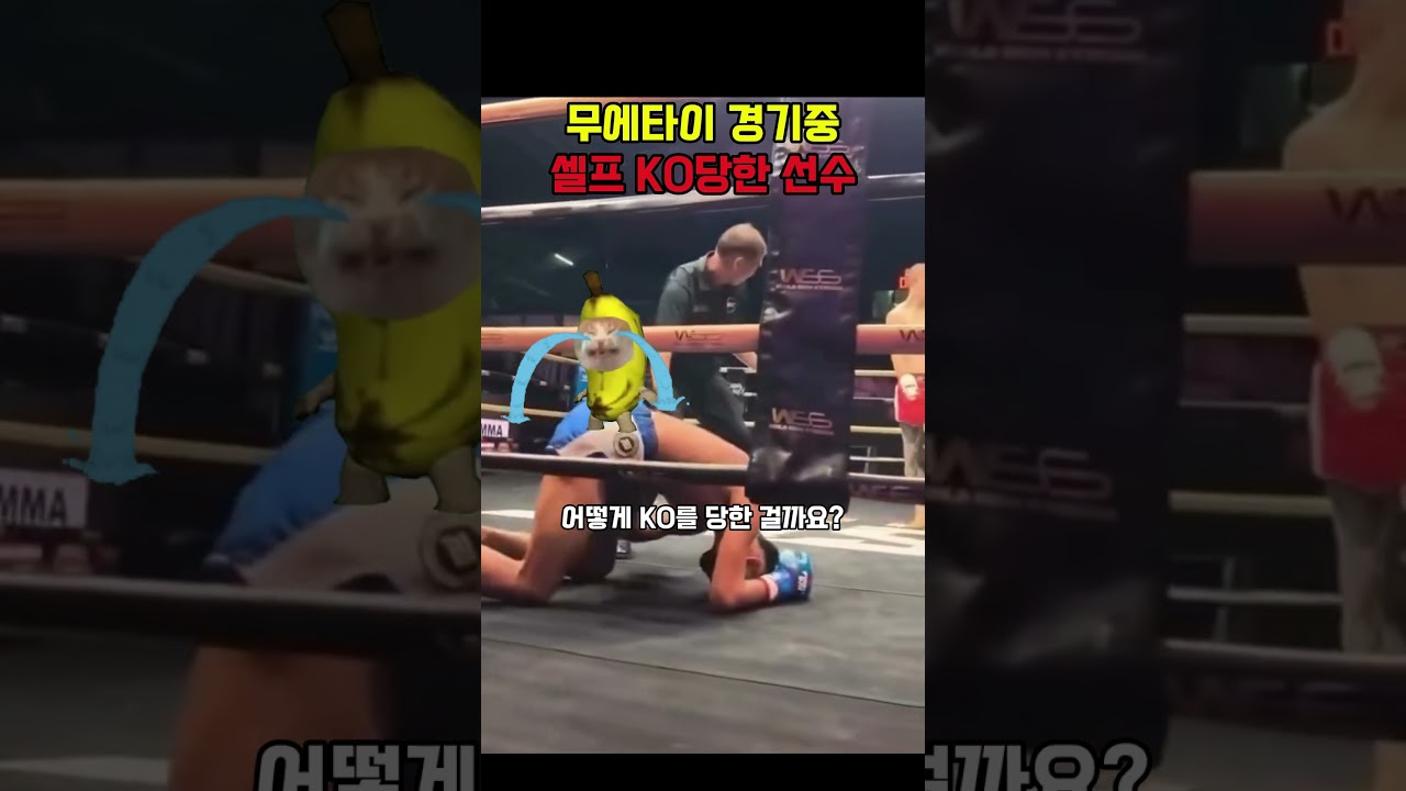 무에타이 시합 하다 혼자 ko 당한 선수