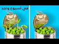 ٢٧حيلة للنباتات والحدائق || طرق سهلة لزراعة البذور وتجديد الحدائق