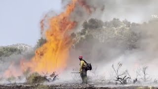 Fire near Gorman burns nearly 15,000 acres