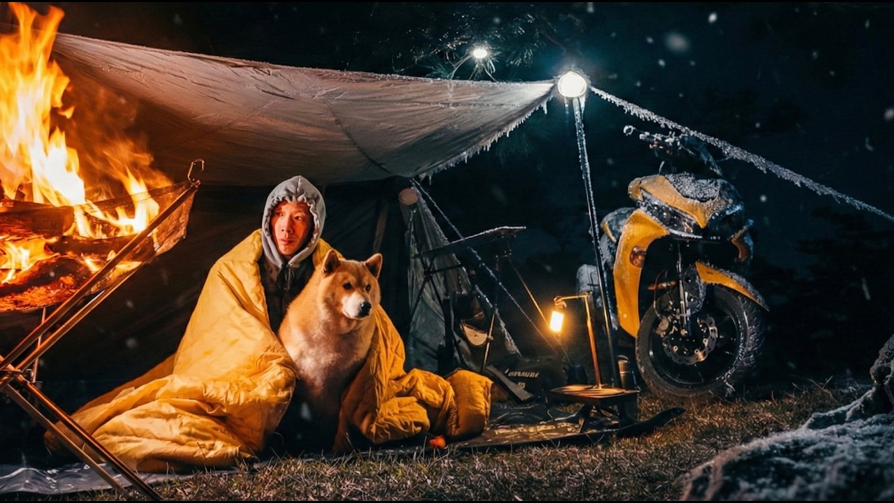 Cozy Winter Camping with My Shiba in a Windstorm | No Talking ASMR